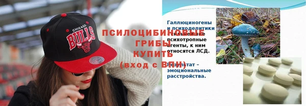 прущая мука Вязники