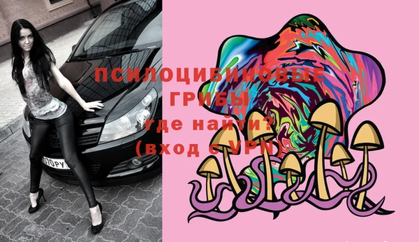 тгк Горно-Алтайск