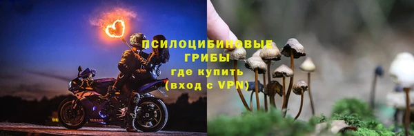 PSILOCYBIN Волосово