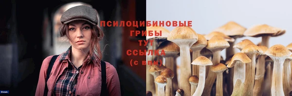 индика Домодедово