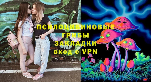бошки Володарск
